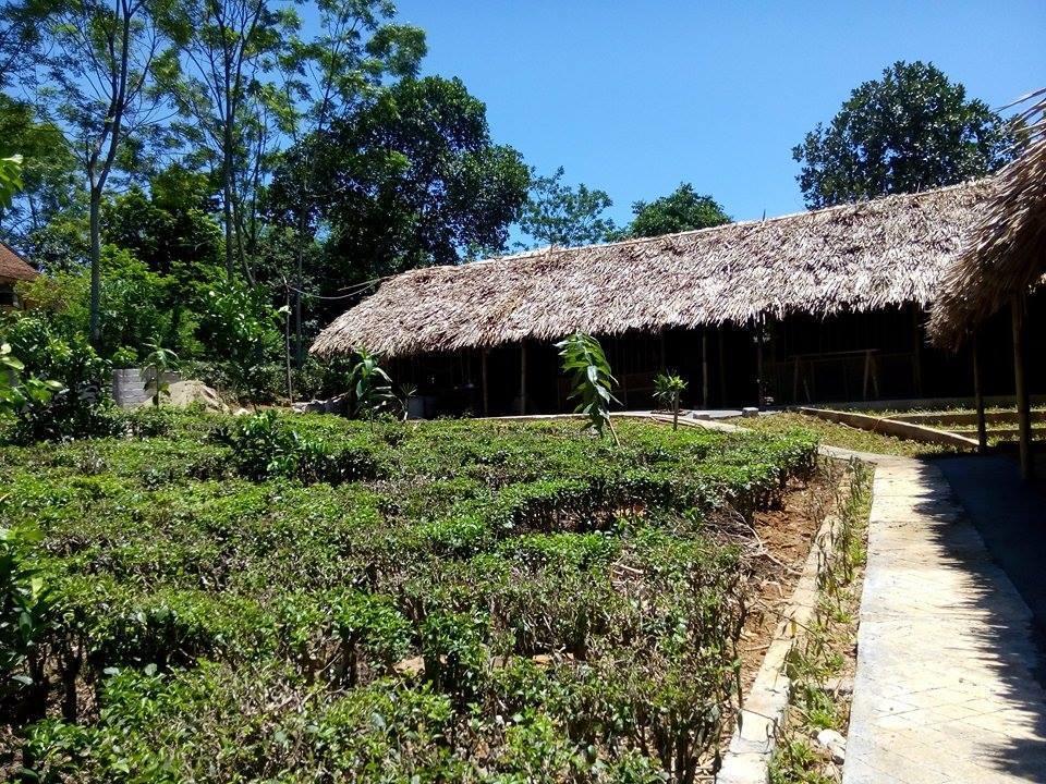 Family Homestay Ba Vi Rom bilde