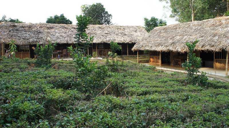 Family Homestay Ba Vi Rom bilde