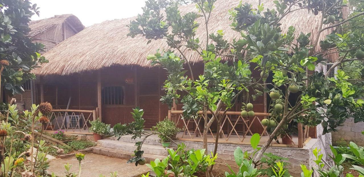 Family Homestay Ba Vi Eksteriør bilde